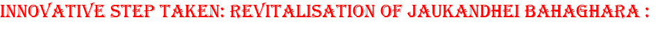 INNOVATIVE STEP TAKEN: REVITALISATION OF JAUKANDHEI BAHAGHARA :