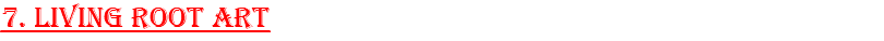 7. Living Root Art
